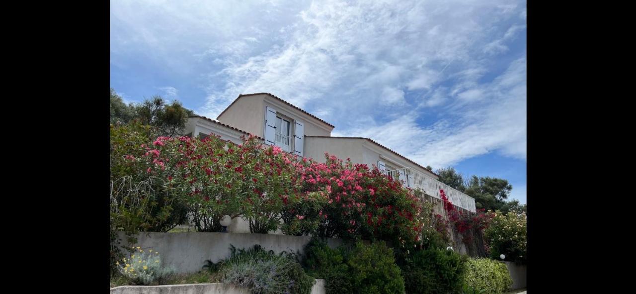 Residence Castugna Cargese Exterior photo