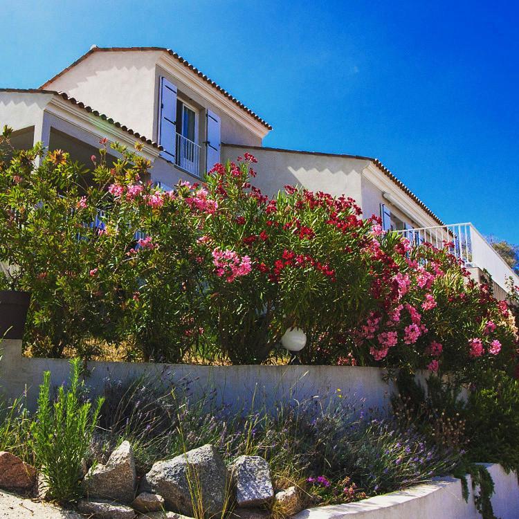 Residence Castugna Cargese Exterior photo