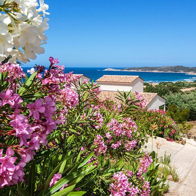 Residence Castugna Cargese Exterior photo